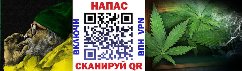 маркетплейс клад  Пушкино  Шишки марихуана Bruce Banner 